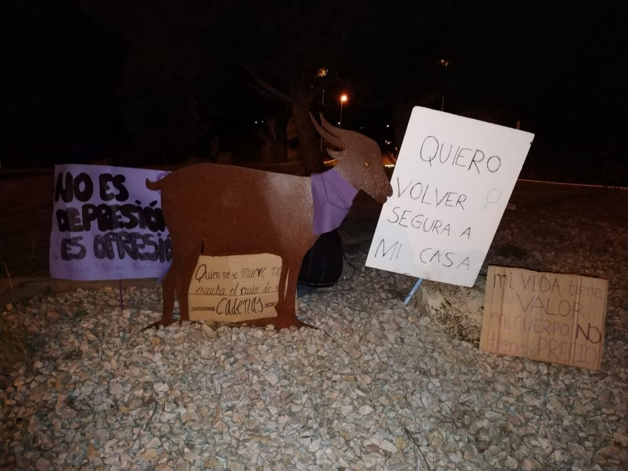 Intervención reivindicativa en Hoyo de Manzanares