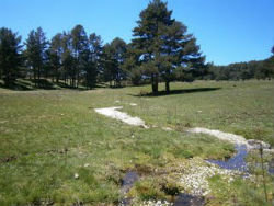 Los paisajes serranos de Peguerinos con Camineros