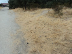 Los vecinos alertan del estado de suciedad del Monte de Los Ángeles