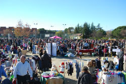 Celebrada una nueva edición del mercadillo popular de Torrelodones 