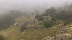 Niebla en Torrelodones