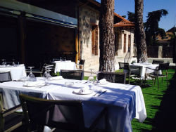 Olive abre su terraza