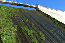 El PSOE invita a los vecinos a conocer el futuro del embalse de Los Peñascales