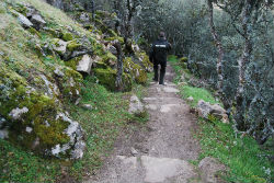 Torrelodones: sendas ambientales guiadas en marzo