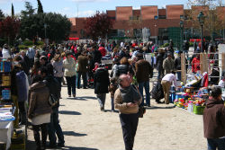 Miércoles 26, sorteo público de los puestos del mercadillo popular de Torrelodones