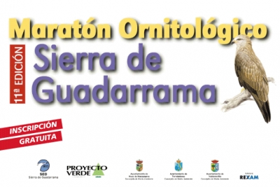 Maratón ornitológico en Torrelodones, Hoyo y Valdemorillo