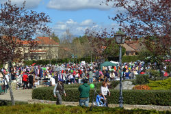 El Mercadillo Popular se llena de actividades