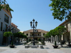  Auditoría del Tribunal de Cuentas al Ayuntamiento de Torrelodones