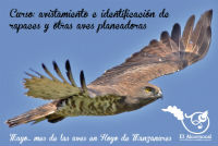 Mayo, mes de las aves en Hoyo