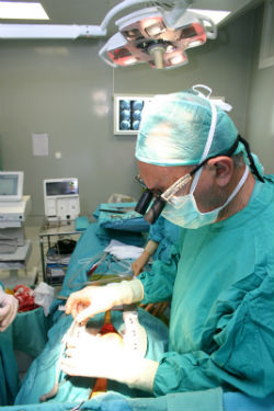 El Hospital Modelo evita implantación de valvula mitral en el 90% de los casos, apostando por su reparación