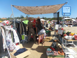 El fenómeno del mercadillo popular de Torrelodones 