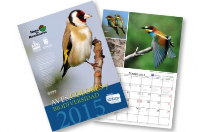 Las aves de Hoyo en el calendario municipal 2015