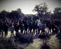 Un bosque en sus manos. Bellotada en el monte Los Ángeles