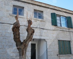 Foto: Ayuntamiento de Torrelodones