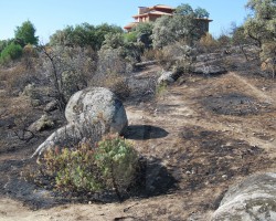 Incendio en la urbanización Las Marías