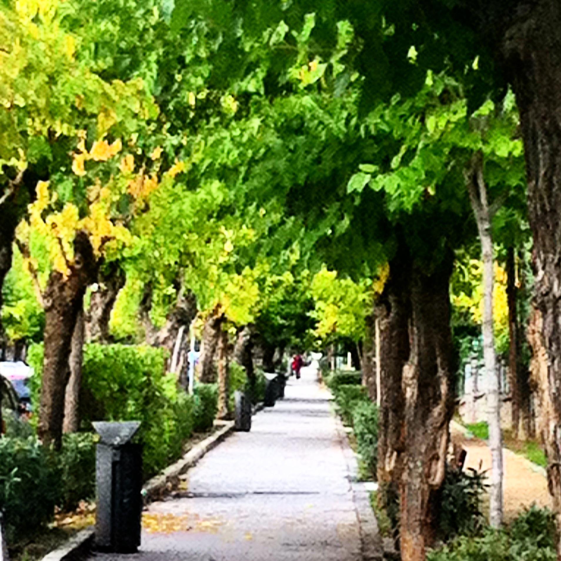 ¿Cuál es tu lugar favorito de Torrelodones?