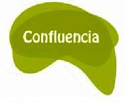 Confluencia presenta su candidatura