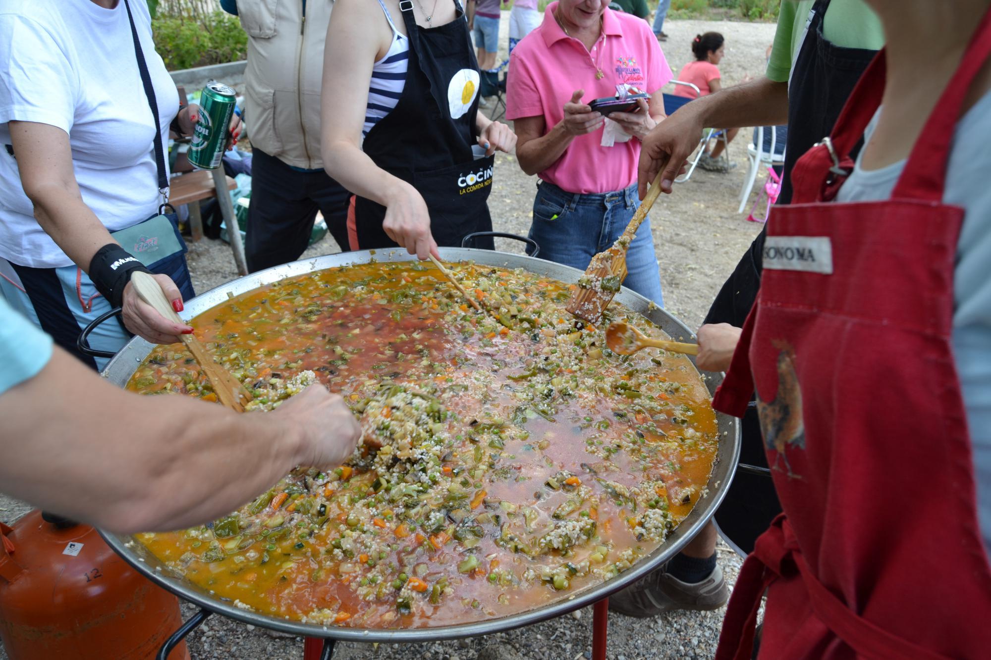 Los huertos urbanos de Torrelodones celebran la cosecha