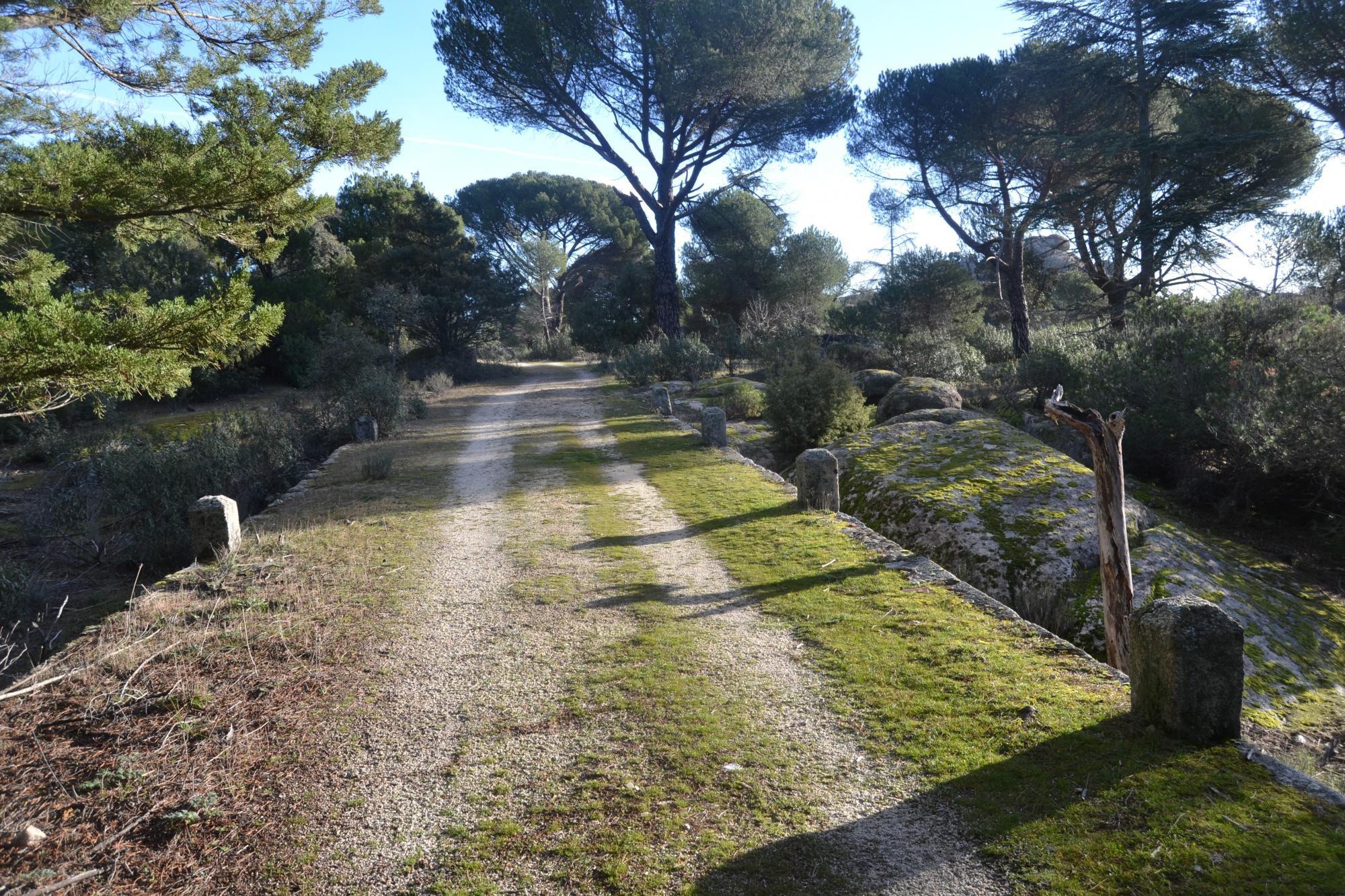 El jardín secreto del Conde de las Almenas