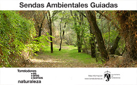 Sendas ambientales guiadas por Torrelodones. Diciembre.