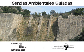 Sendas ambientales guiadas por Torrelodones en junio