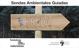 Sendas ambientales guiadas por Torrelodones. Octubre.