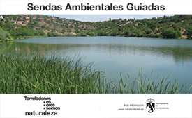 Sendas ambientales guiadas por Torrelodones. Septiembre