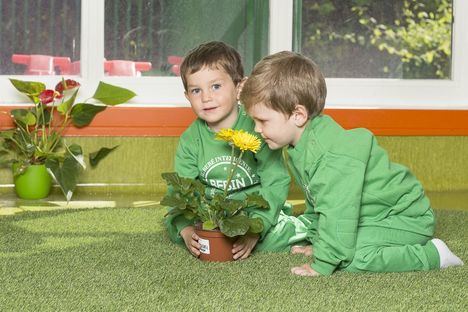 Colegio Europeo de Madrid, educación infantil para bebés inteligentes