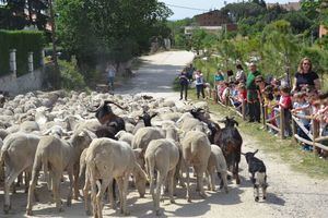 Vías pecuarias, caminos en peligro