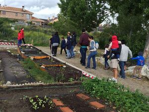 II Jornada de ‘La huerta al cole’ en los huertos urbanos