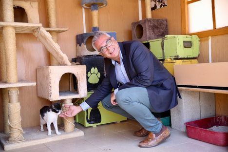 Tenencia responsable de mascotas también en verano