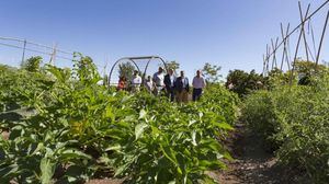 Cinco años promoviendo el emprendimiento agrario