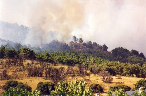 Se cumplen 20 años del incendio del Monte Abantos