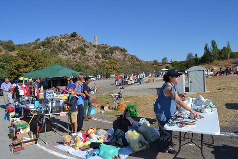 El traslado del mercadillo popular, a examen