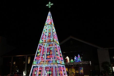 Con el encendido de las luces comienzan las actividades de Navidad