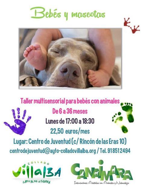 Juventud reúne a bebés y mascotas en un nuevo taller