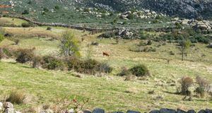 La Comunidad regula el deporte sostenible en el Parque Nacional