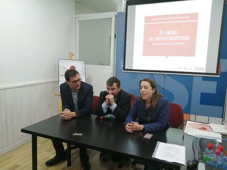 El PSOE pide a la Comunidad que lidere la gestión de los jabalíes