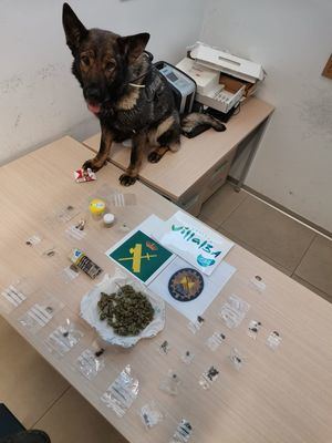 La Unidad Canina de la Policía Local realiza varias incautaciones