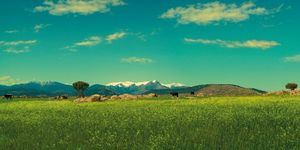 La Sierra de Guadarrama, uno de los destinos soñados para viajar tras el coronavirus