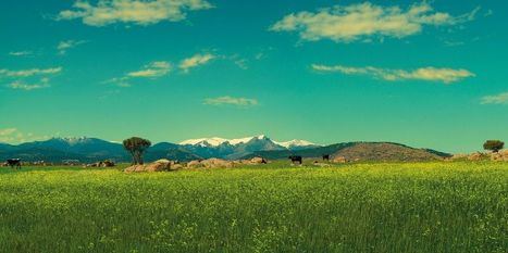 La Sierra de Guadarrama, uno de los destinos soñados para viajar tras el coronavirus