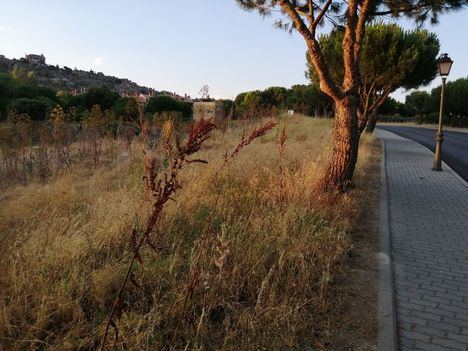 El PSOE de Torrelodones reclama que se refuerce el plan de desbroce