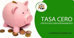 Tasa cero para el certificado de empadronamiento en El Escorial
 