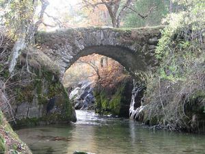 Puente de la Angostura