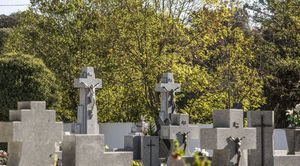 Cementerio de Las Rozas