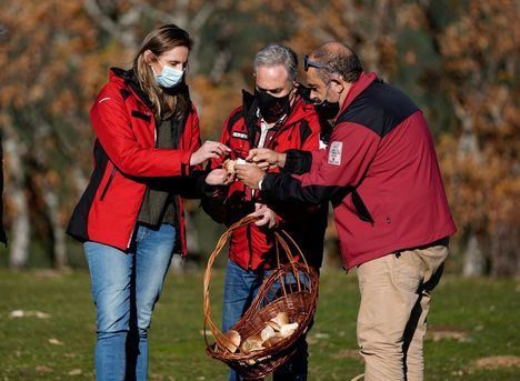 La Comunidad de Madrid regula la recogida de setas en 7.000 hectáreas del Parque Nacional
 