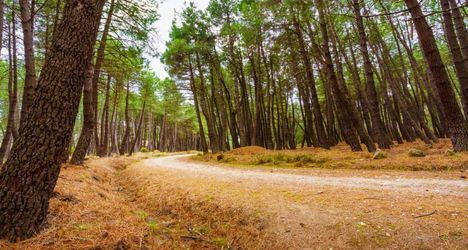 El Consejo de Gobierno destina 2,5 millones de euros la mejora de la biodiversidad del Parque Nacional