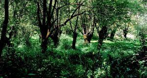 La Comunidad fomenta el uso de los Centros de Visitantes del Parque Nacional Sierra de Guadarrama