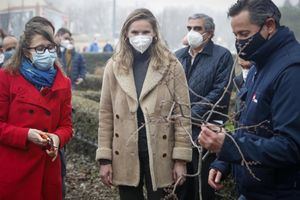 El IMIDRA clonará en sus viveros de El Escorial árboles singulares derribados por Filomena