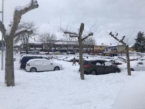 Torrelodones valora en cerca de 2 millones de euros el coste del paso de la borrasca Filomena por la localidad
 